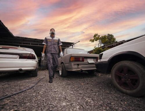 Full Service Salvage Yard